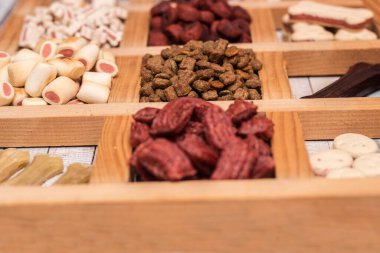 Köpeğin lezzetli renkli bisküvileri.