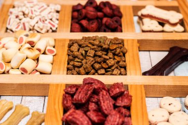 Köpeğin lezzetli renkli bisküvileri.