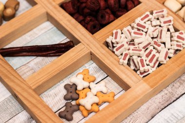 Köpeğin lezzetli renkli bisküvileri.