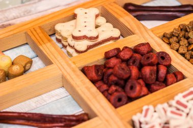 Köpeğin lezzetli renkli bisküvileri.