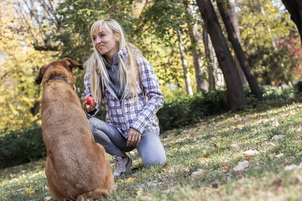 Mujer Joven Positiva Disfrutando Momentos Felices Con Perro —  Fotos de Stock