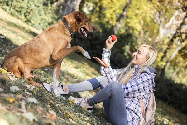 Mujer Joven Positiva Disfrutando Momentos Felices Con Perro —  Fotos de Stock