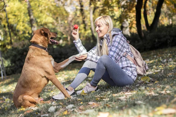 Mujer Joven Positiva Disfrutando Momentos Felices Con Perro — Foto de Stock