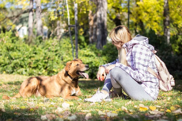 Mujer Joven Positiva Disfrutando Momentos Felices Con Perro — Foto de Stock