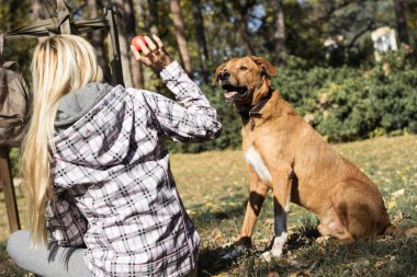 Olumlu genç kadın köpeğiyle mutlu anların tadını çıkarıyor.