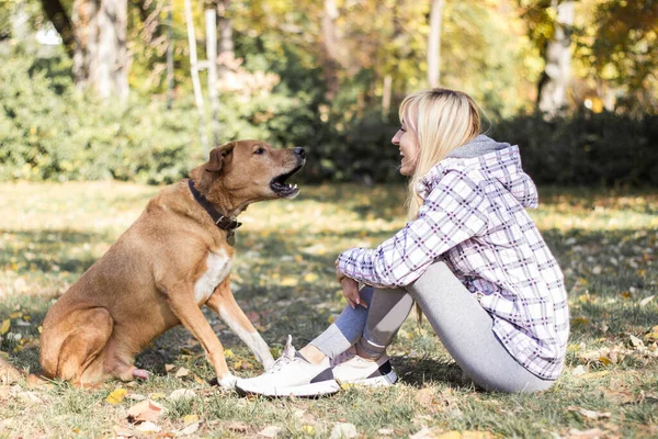 Mujer Joven Positiva Disfrutando Momentos Felices Con Perro —  Fotos de Stock