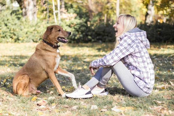 Mujer Joven Positiva Disfrutando Momentos Felices Con Perro —  Fotos de Stock
