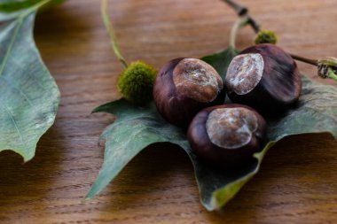 Köy ahşap arka planda çiğ kestane