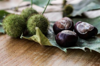 Köy ahşap arka planda çiğ kestane