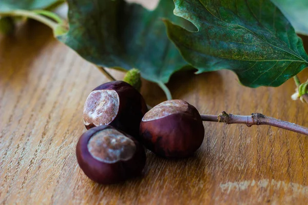 Castagne Crude Uno Sfondo Legno Rustico — Foto Stock