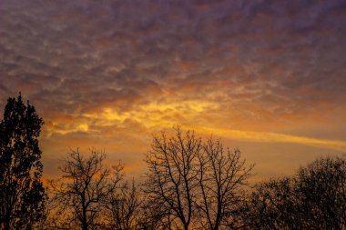 Hava durumu. Bulutlu ve ağaçlı mavi gökyüzü. Parlak güneşin arka planı ve bulutlu mavi bir gökyüzü. Sıcak ve sıcak hava kavramı