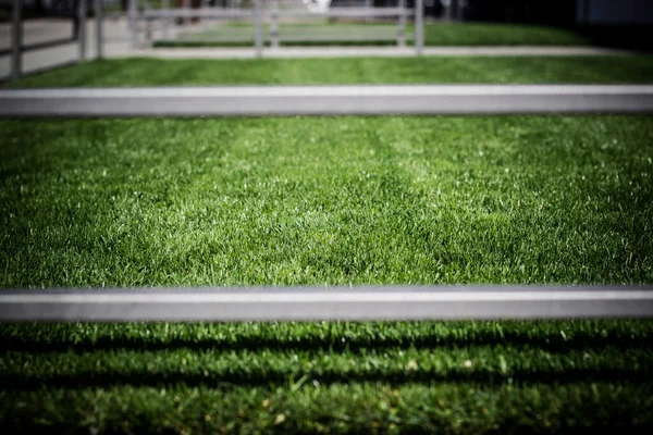 Lush green lawn, landscaping backyard or lawn garden. Grass through fence background
