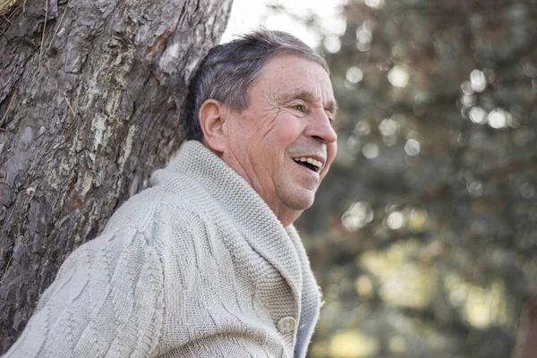 Açık havada, halka açık bir parkta gülümseyen son sınıf öğrencisinin portresi. Yaşlı adam dışarıda dinleniyor ve başka tarafa bakıyor. Emekliliğin tadını çıkaran yaşlı bir adamın portresi