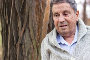 Açık havada, halka açık bir parkta gülümseyen son sınıf öğrencisinin portresi. Yaşlı adam dışarıda dinleniyor ve başka tarafa bakıyor. Emekliliğin tadını çıkaran yaşlı bir adamın portresi