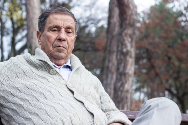 Halka açık bir parkta, bankta oturan dalgın bir son sınıf öğrencisinin portresi. Yaşlı adam dışarıda dinleniyor ve başka tarafa bakıyor. Emekliliğin tadını çıkaran yaşlı bir adamın portresi