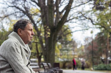 Halka açık bir parkta, bankta oturan dalgın bir son sınıf öğrencisinin portresi. Yaşlı adam dışarıda dinleniyor ve başka tarafa bakıyor. Emekliliğin tadını çıkaran yaşlı bir adamın portresi