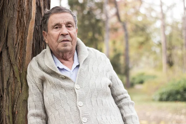 Retrato Anciano Feliz Sonriendo Parque Público Aire Libre Viejo Relajándose —  Fotos de Stock