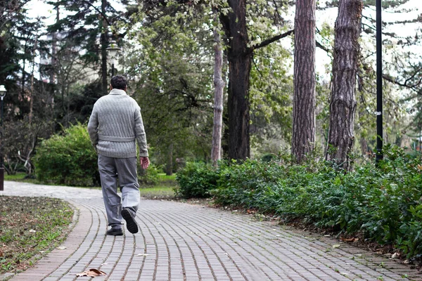 Hombre Mayor Caminando Relajándose Parque Pie Relajante Vista Trasera —  Fotos de Stock