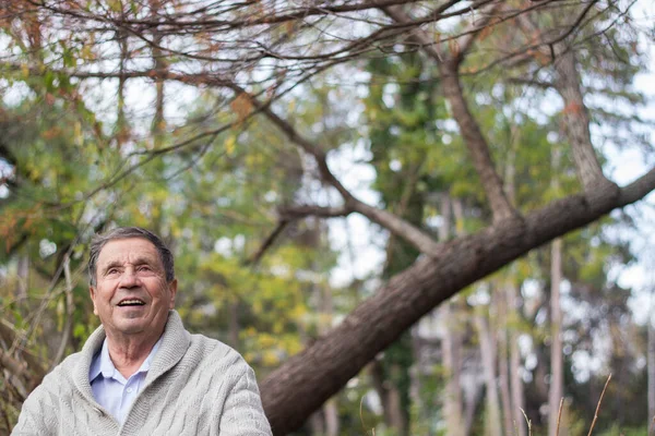 Açık havada, halka açık bir parkta gülümseyen son sınıf öğrencisinin portresi. Yaşlı adam dışarıda dinleniyor ve başka tarafa bakıyor. Emekliliğin tadını çıkaran yaşlı bir adamın portresi