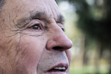 Üst düzey bir adamın gözleri, açık hava, doğa. Başka tarafa bakıyor, düşünceli, düşünceli. Son sınıf öğrencisinin yüzünü ve gözlerini kapat.