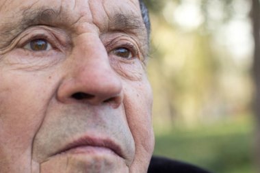 Üst düzey bir adamın gözleri, açık hava, doğa. Başka tarafa bakıyor, düşünceli, düşünceli. Son sınıf öğrencisinin yüzünü ve gözlerini kapat.