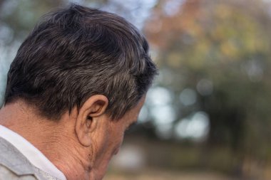 Halka açık bir parkta, bankta oturan dalgın bir son sınıf öğrencisinin portresi. Yaşlı adam dışarıda dinleniyor ve başka tarafa bakıyor. Emekliliğin tadını çıkaran yaşlı bir adamın portresi
