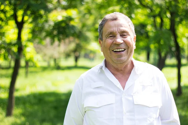 Retrato Homem Sênior Sorridente Natureza Olhando Para Câmera — Fotografia de Stock