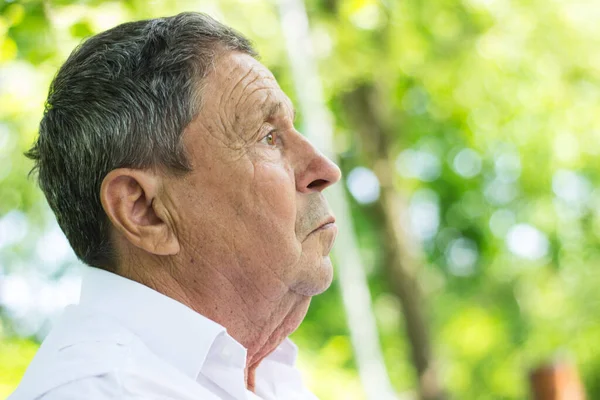 Retrato Anciano Sonriente Naturaleza —  Fotos de Stock