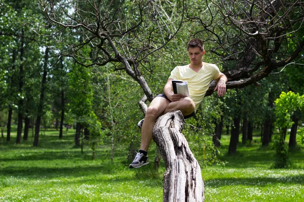 Young male reading a book on the tree in the park, spring