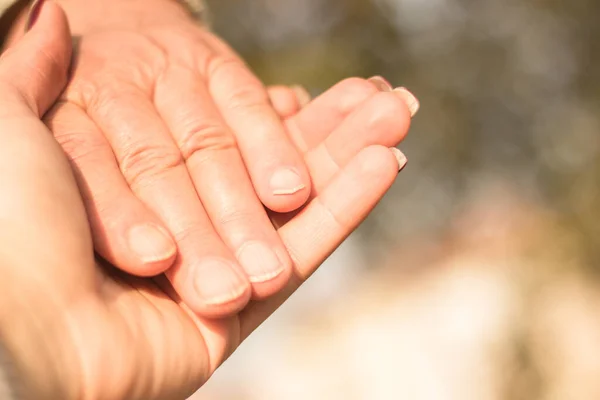 Ανώτερος Και Νέος Χέρια Bokeh Φόντο Εξωτερικούς Χώρους Φόντο Φύσης — Φωτογραφία Αρχείου