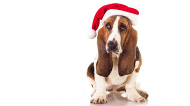 Noel Yavrusu beyazı üzerinde tek başına oturuyor.