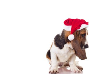 Noel Yavrusu beyazı üzerinde tek başına oturuyor.