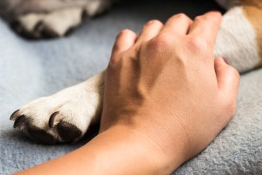 Genç bir kadın köpeğinin patisini tutuyor. Köpek elini yalıyor.