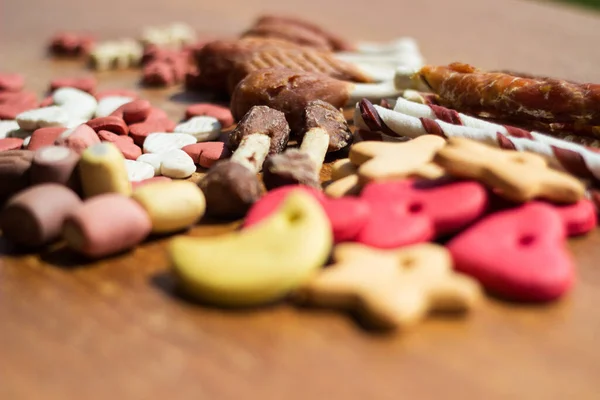 Cão Saborosos Biscoitos Coloridos Fundo Madeira — Fotografia de Stock