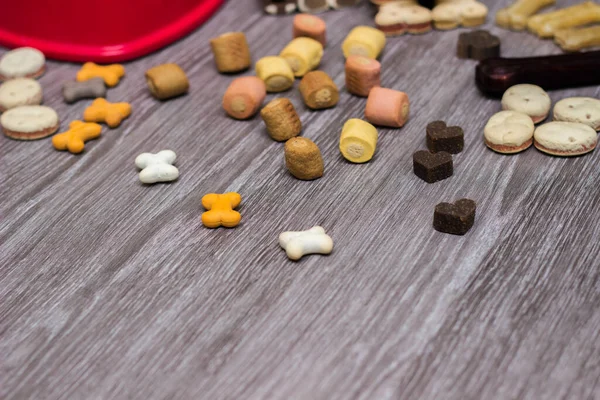 Pet Food Snacks Dogs Dog Tasty Colored Biscuits Wooden Background — Fotografia de Stock