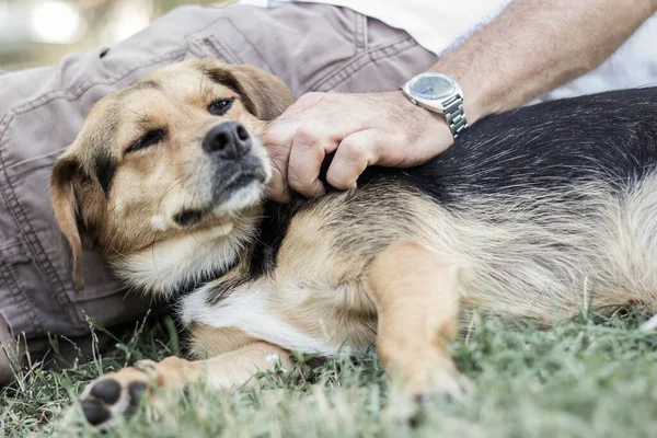 Dog is cuddling with his owner, in the public park