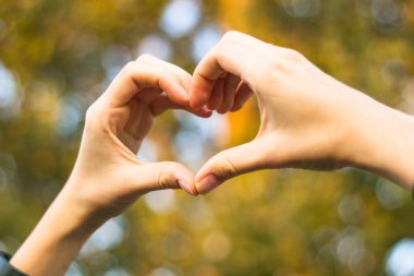 Elleriyle kalp sembolü. Doğa bokeh arkaplanı