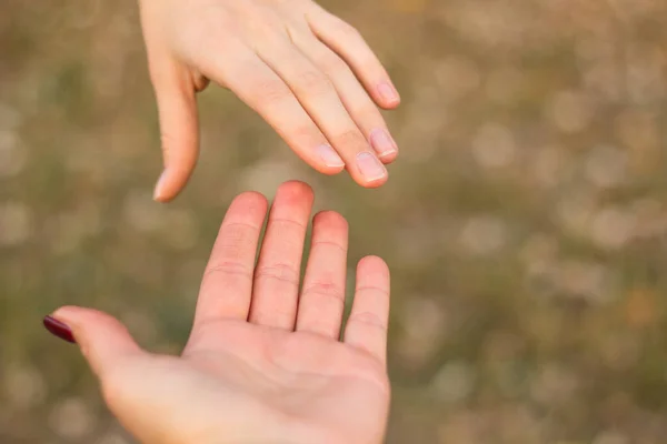 Sisters Hold Hands Nature Bokeh Background — Foto de Stock