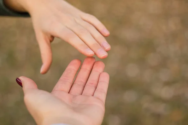 Sisters hold hands, nature bokeh background