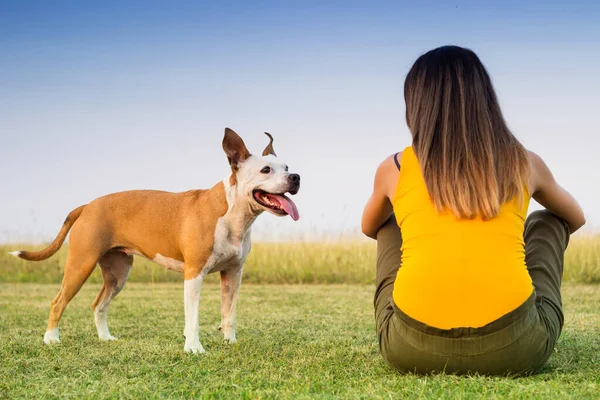 Woman Her Dog Sitting Grass Exchanges Tenderness — Stock fotografie