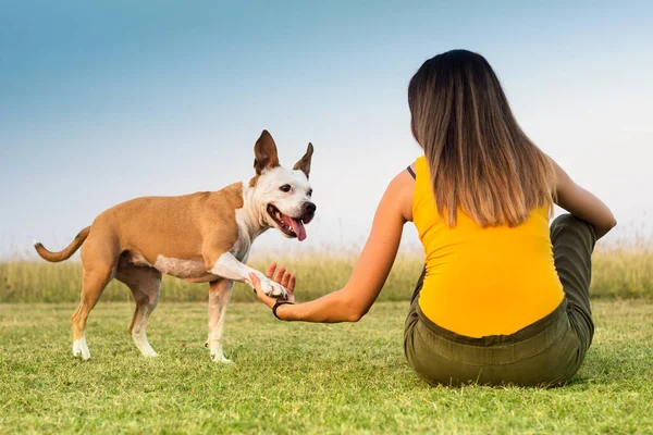 Woman Enjoying Time Her Dog Spending Time Together — Stok fotoğraf