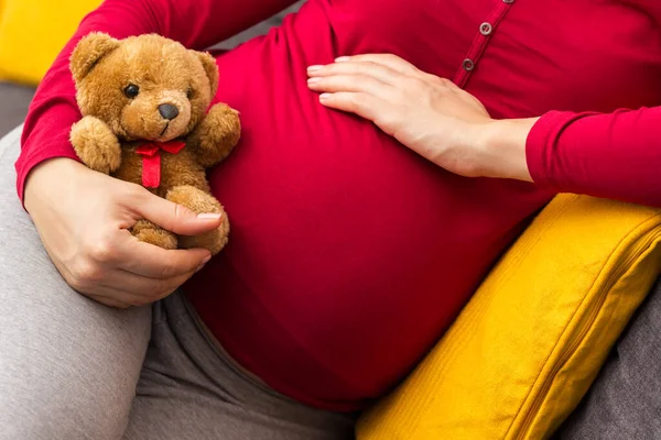 Woman Enjoying Pregnancy Home Pregnant Woman Holding Teddy Bear Resting — стоковое фото