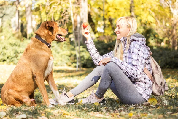 Happy Young Adult Woman Enjoys Time Park Her Dog —  Fotos de Stock