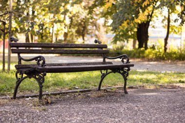 Sonbaharda şehir parkı. Güneşli bir havada güzel bir sonbahar parkında renkli yapraklar.