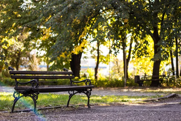 Городской Парк Осенью Красочная Листва Красивом Осеннем Парке Солнечную Погоду — стоковое фото