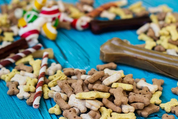 Dog bones and biscuits on turquoise wooden background