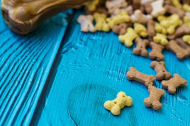 Turkuaz ahşap arka planda köpek kemikleri ve bisküviler