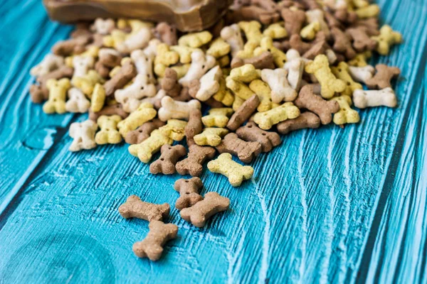 Dog bones and biscuits on turquoise wooden background