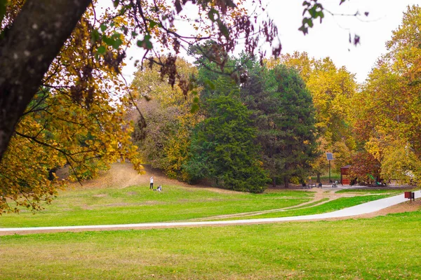 Красочный Осенний Лес Красивые Пейзажи Городского Парка — стоковое фото