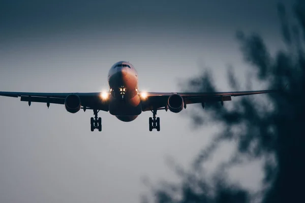 A passenger plane lands at sunset. Has the landing gear lowered and the lights on — Photo